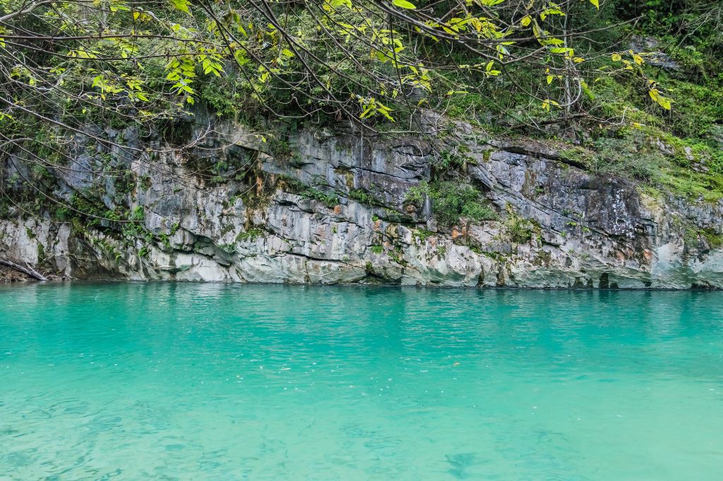 Um rio com águas cristalinas é ladeado por rochas e plantas.